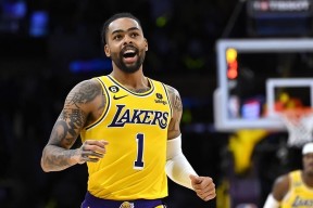 pg电子试玩入口关于哈兰德新星关键助攻表现惊艳，湖人未来可期！的信息